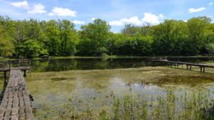 Lire la suite à propos de l’article Conseils de pêche